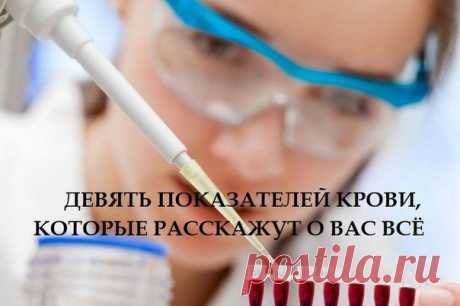 9 показателей крови, которые расскажут все о вашем здоровье