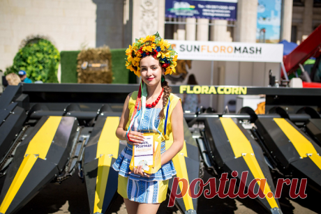 Бердянские жатки Sunfloromash — лучшее решение для аграриев и сельхозпроизводителей — Kovsh.dp.ua 26325fe8c5cd1661