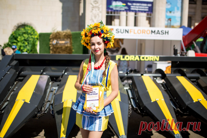 Бердянские жатки Sunfloromash — лучшее решение для аграриев и сельхозпроизводителей — Kovsh.dp.ua 26325fe8c5cd1661