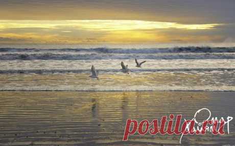 Нет смысла в поиске места, где вам будет хорошо. Есть смысл научится создавать это &quot;хорошо&quot; в любом месте. Присоединяйтесь  - Здоровый Бизнес ,научим и покажем