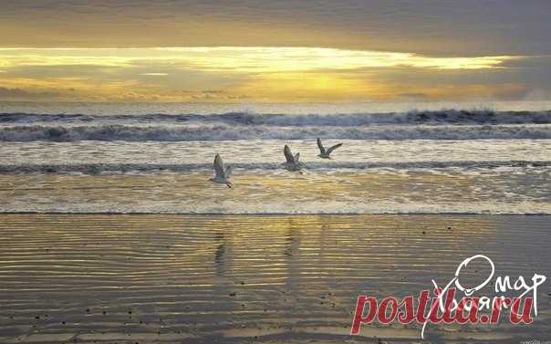 Нет смысла в поиске места, где вам будет хорошо. Есть смысл научится создавать это "хорошо" в любом месте. Присоединяйтесь  - Здоровый Бизнес ,научим и покажем