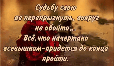 Google+