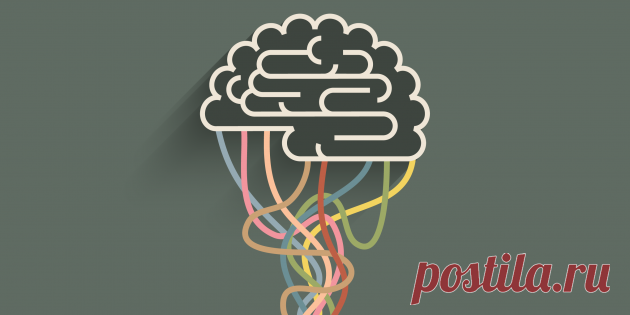 Как повысить интеллект: 10 работающих способов | Чёрт побери