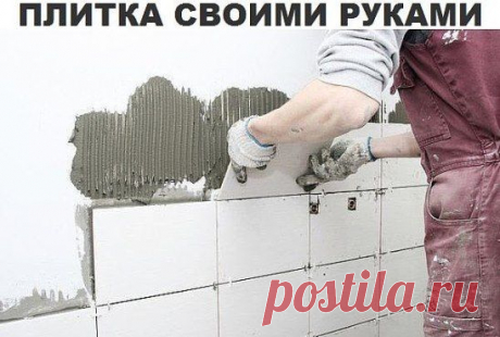 (1) Одноклассники