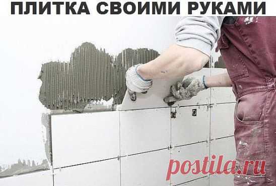 (1) Одноклассники