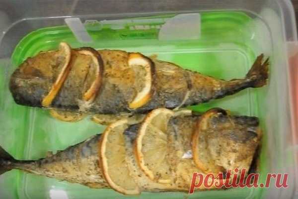 Запеченная скумбрия со специями и лимоном
Самостоятельное, недорогое, вкусное блюдо, с которым справится любой кулинар.

ИНГРЕДИЕНТЫ:
скумбрия 2 шт.
перец черный молотый
специи для рыбы
лимон
соль
ПРИГОТОВЛЕНИЕ:
1 Скумбрию натереть специями для рыбы, перцем, солью, сделать в тушках несколько надрезов и поместить в них дольки лимона. Дать постоять для пропитывания.
2 Запечь при температуре от 180 до 190 градусов, время – от получаса до 40 минут.
СОВЕТ
На гарнир к рыбе можно...