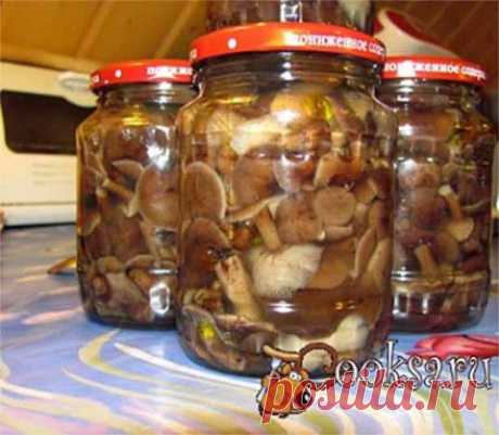 Соленые опята на зиму | Домашняя кулинария