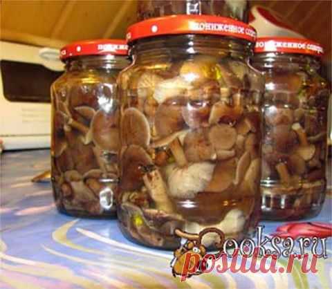 Соленые опята на зиму | Домашняя кулинария