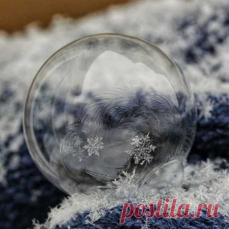 КАКОЙ СЕГОДНЯ ПРАЗДНИК? 19 Января 2021 г. – Вторник • Праздник Богоявления (Крещение Господне) • День нежности ко всем существам (Tenderness Toward Existence Day) • День апельсиновых сказок • День патологоанатома • День варки зелья (Brew a Potion Day) • Славянский праздник Турицы • День избавления мира от причудливых диет (Rid the World of Fad Diet and Gimmicks Day) • Всемирный день творога «Кварк» (World Quark Day)2 года • День художника вне закона (Artist as Outlaw Day) • День рождения…