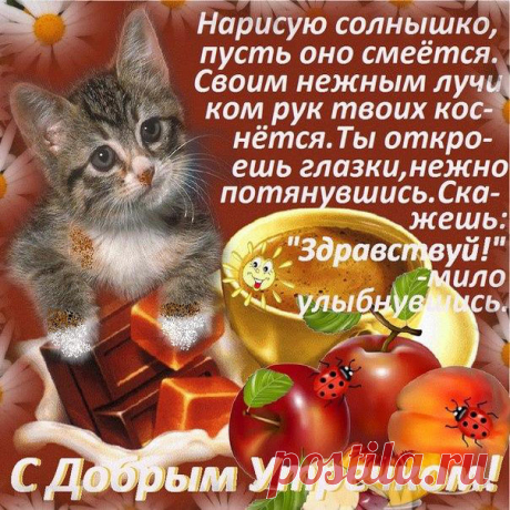 Ласковые открытки с Добрым утром  Красивые gif с добрым Утром