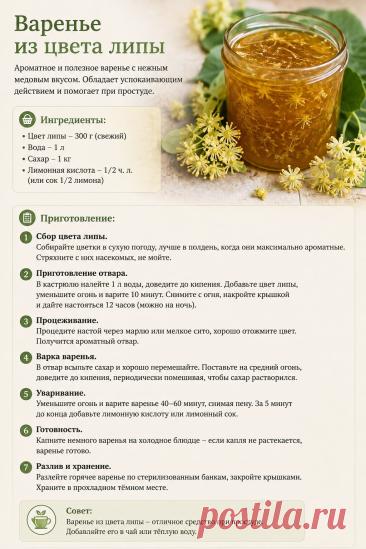 Варенье из цвета липы