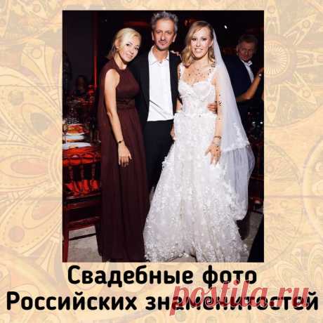 Бабулиta | Яндекс Дзен
