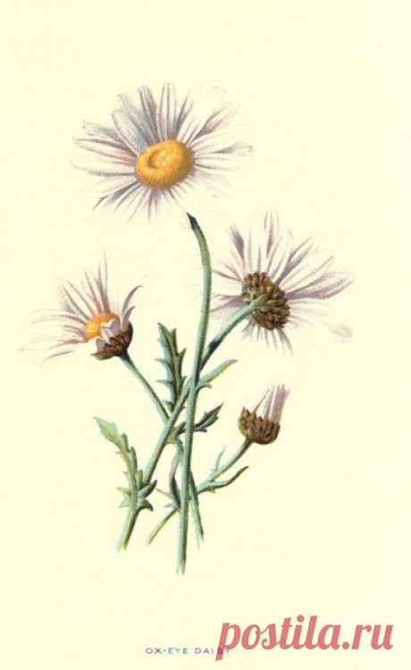 ~ MON PLAISIR ~ Вещи для души. Винтаж,Прованс.