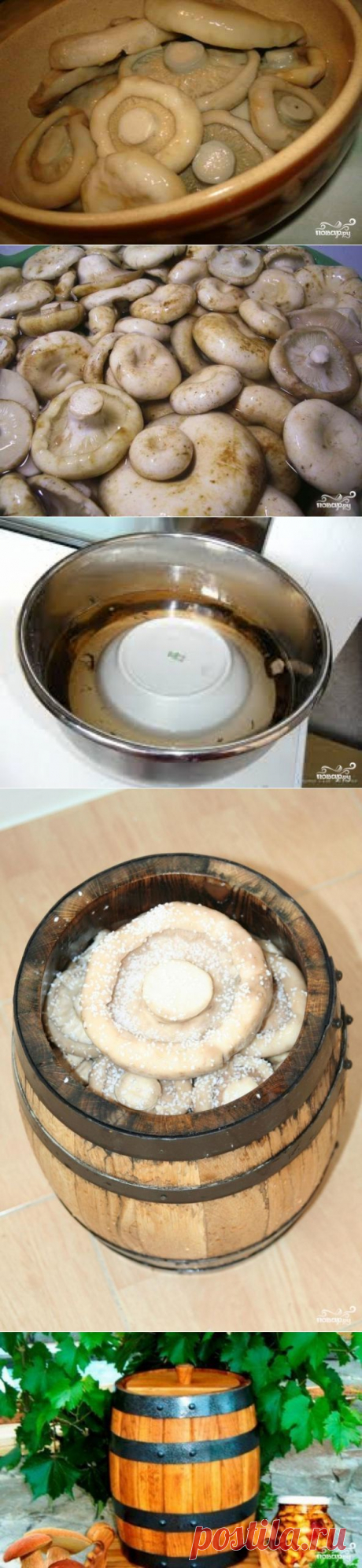 Грузди, соленые в бочке - пошаговый кулинарный рецепт на Повар.ру