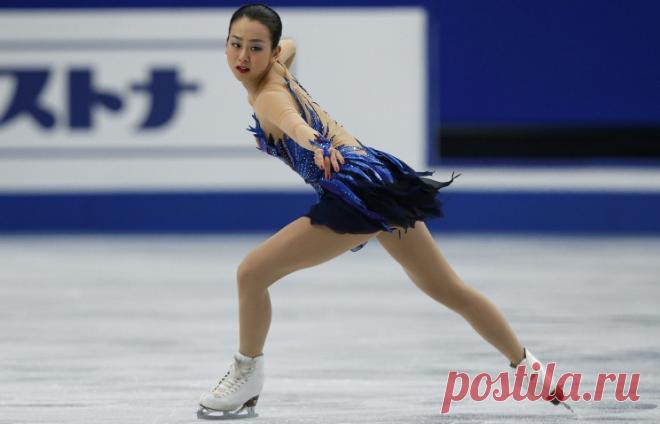 платье птицы