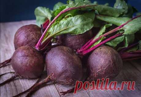 ВКУСНАЯ И ПОЛЕЗНАЯ СВЕКЛА?
Свёкла — это просто супер еда по супер низкой цене! Надеюсь никто...
Читай дальше на сайте. Жми подробнее ➡