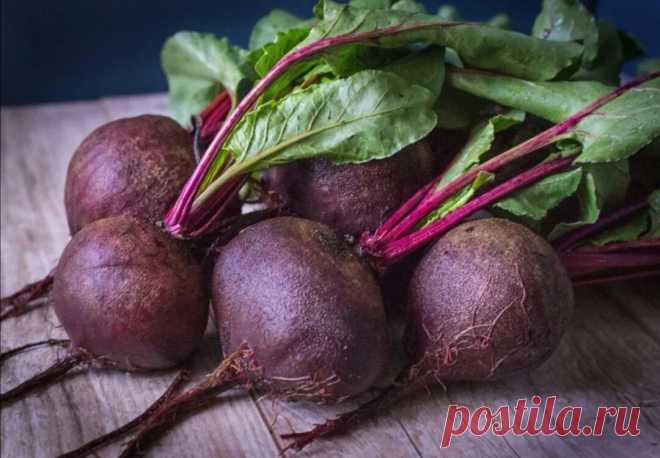 ВКУСНАЯ И ПОЛЕЗНАЯ СВЕКЛА?
Свёкла — это просто супер еда по супер низкой цене! Надеюсь никто...
Читай дальше на сайте. Жми подробнее ➡