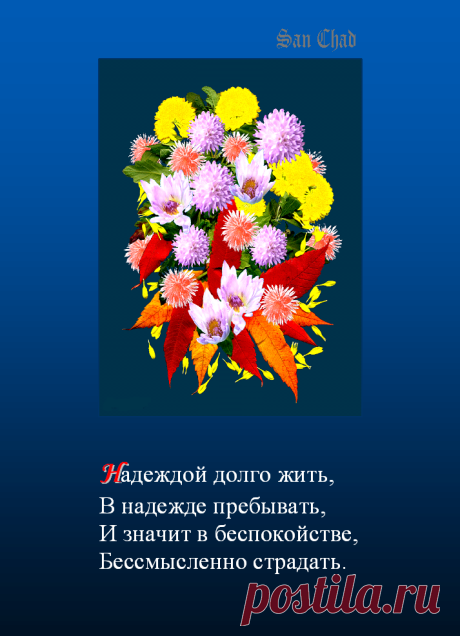 Софиты - от слова София-мудрость * поэтические строки о мудрости.