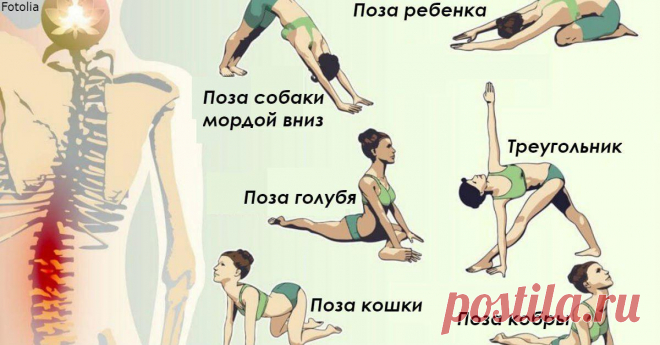 Девять скруток. Они спасут от болей в позвоночнике