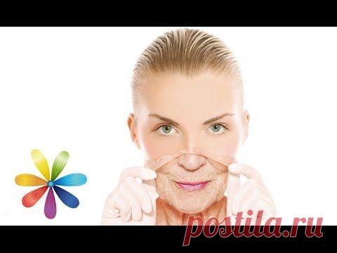 Дыхание молодости: сегодня Лариса Ренар поделится секретами дыхательных техник, которые сделают вас на 10 лет моложе | Golbis