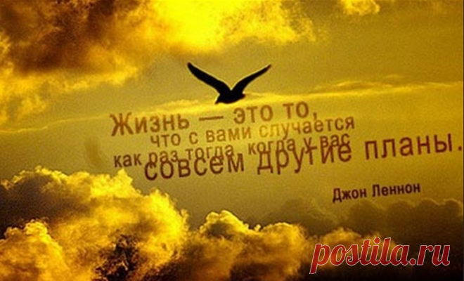 Chistaya.pravda | Ролики — короткие видео