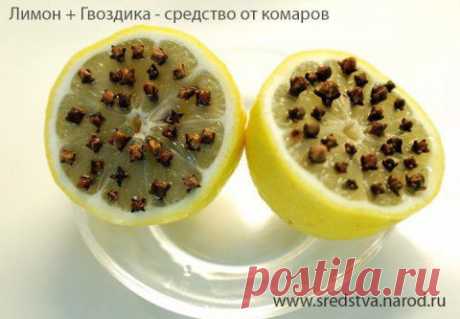 Лимон+Гвоздика = средство от комаров. | Садово-Дачниково