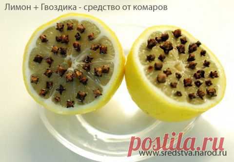 Лимон+Гвоздика = средство от комаров. | Садово-Дачниково