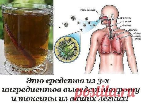 Это средство из 3-х ингредиентов выведет мокроту и токсины из ваших легких!
Лучшее средство от кашля!