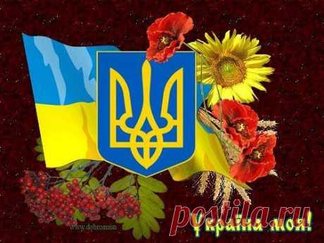 (20) Гра Соняшник