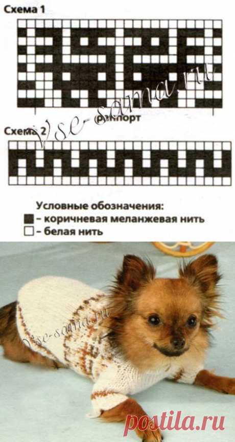 Утепляем домашних любимцев :)))
