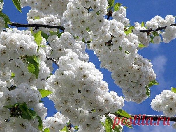 То,что нельзя произнести,проще написать...♥ - Группы Мой Мир