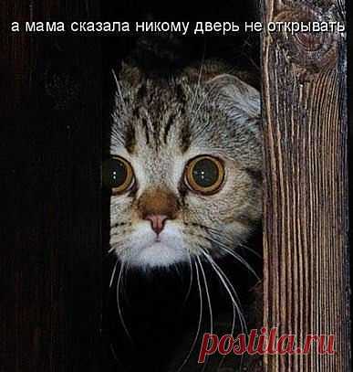 )))