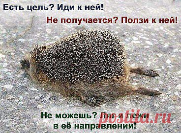 Любая цель с нашей командой осуществима! Заходим и регистрируемся  http://2604.st10.su/4