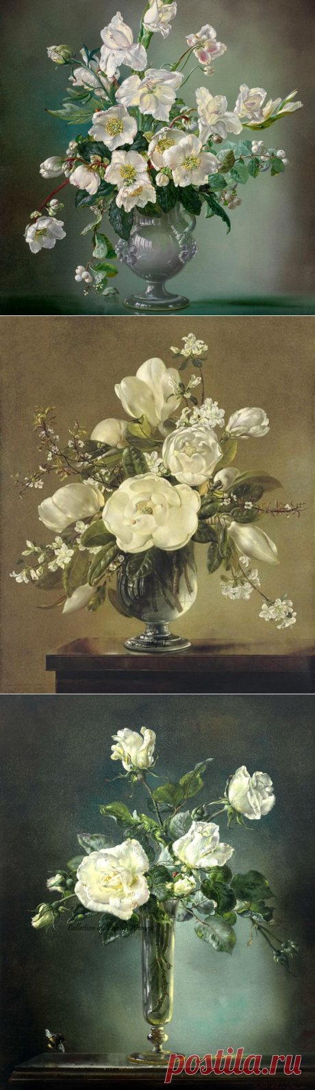 Cecil Kennedy, натюрморты с белыми цветами