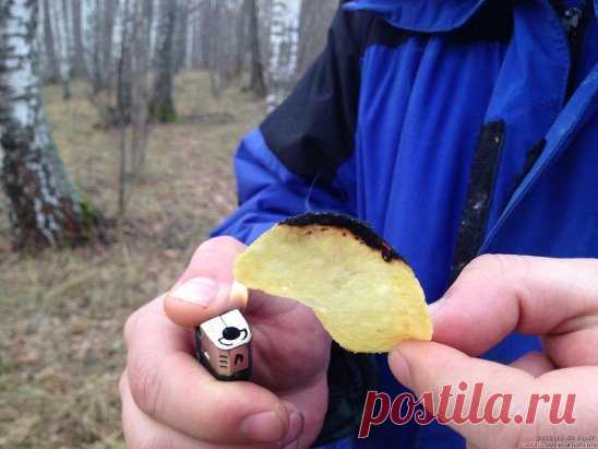 полезные советы
