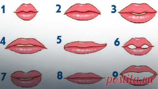Тест: Форма ваших губ может многое рассказать о вас и вашем характере | Скиталец | Яндекс Дзен