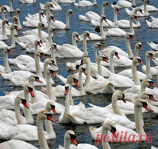 EVRENİN RENKLERİ & ALLAHIN RENK SANATI & THE ART OF GOD