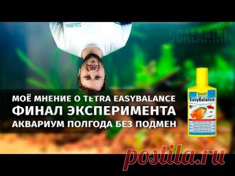 Аквариум полгода без подмен с Tetra EasyBalance. Финал - YouTube