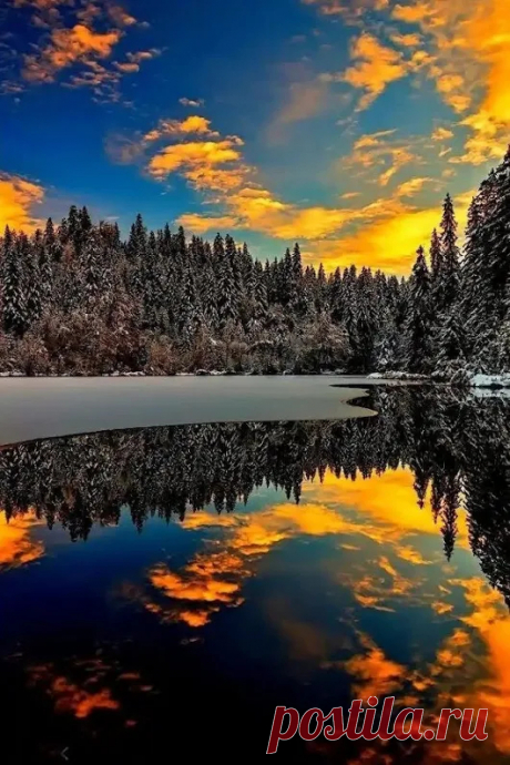 Google+