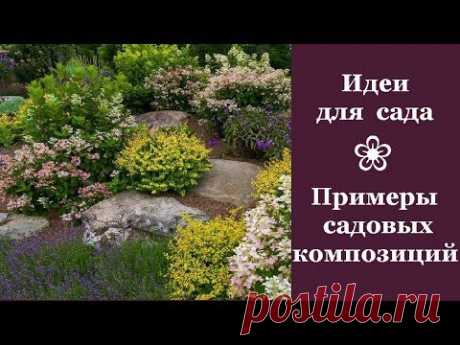 ❀ Идеи для сада. Примеры садовых композиций