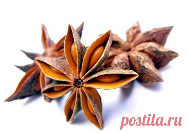 АНИС – ПРЯНОСТЬ, СОХРАНЯЮЩАЯ ЖЕНСКУЮ КРАСОТУ