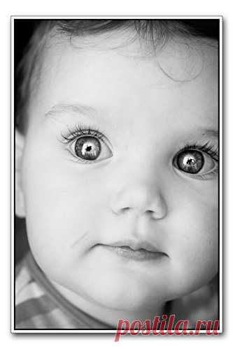 15+ Деток С Глазками Как У Кота В Сапогах, Из “Шрека”. | Лучшие истории со всего мира