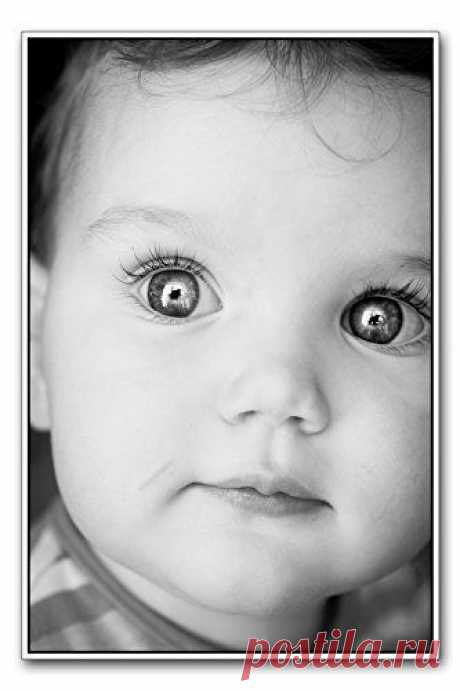 15+ Деток С Глазками Как У Кота В Сапогах, Из “Шрека”. | Лучшие истории со всего мира