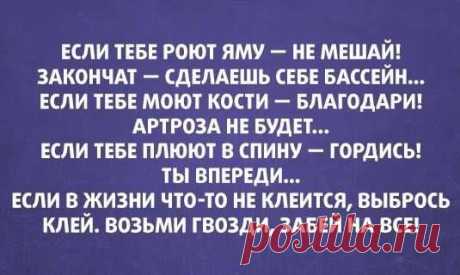 Никогда не сдавайтесь!