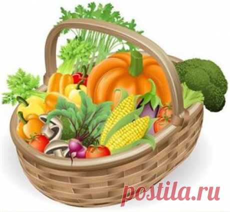 10 ВАРИАНТОВ ПРИГОТОВЛЕНИЯ ВКУСНОЙ ТЫКВЫ!
