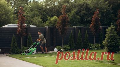 Юрист посоветовал убирать территорию земельного участка от мусора, травы и снега. Земельный участок необходимо использовать по назначению, важно следить за ним и должным образом убирать территорию от мусора, травы, снега, посоветовал в беседе с RT юрист компании «Консул» Артём Дубников. Читать далее