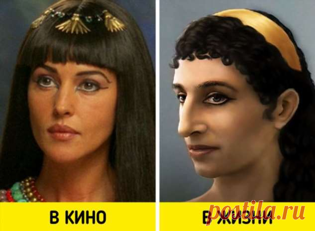 20+ поразительных фактов о Клеопатре, которые стыдливо утаили учителя истории . Милая Я