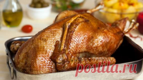 Гусь, запеченный в духовке на Gastronom.ru