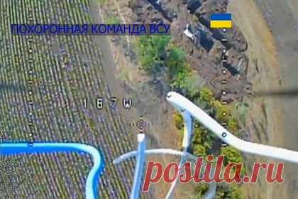 Оператор FPV-дрона передумал атаковать группу бойцов ВСУ после одного послания