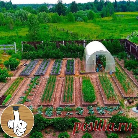 Когда в огородик вложили всю душу!